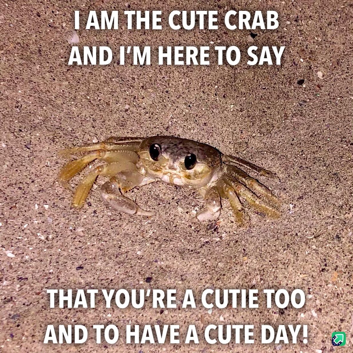 WholesomeMemes tweet media