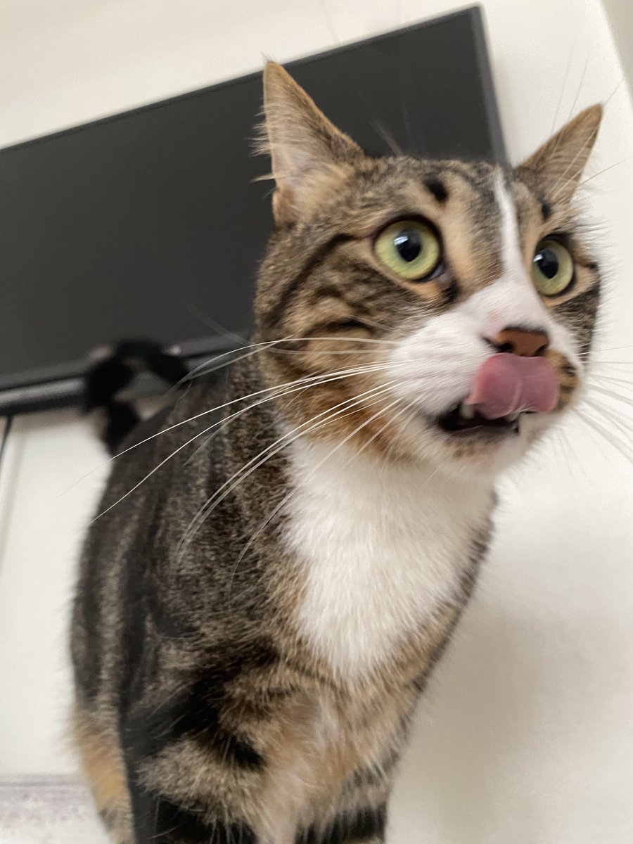 baryamınızı enişten diyeklerimle kutluyolum 😬♥️