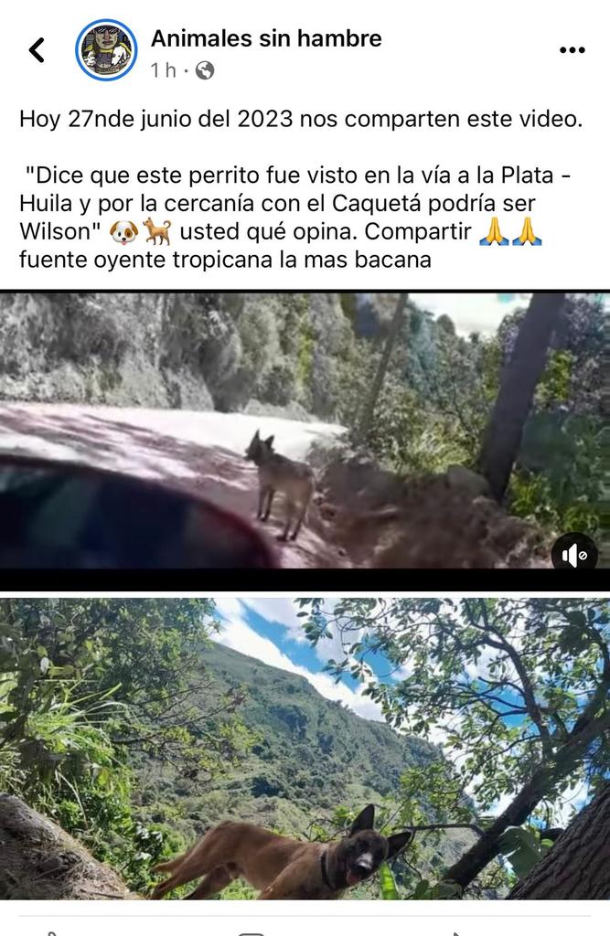 Wilson_Suaza_'s tweet photo. 🚨La esperanza está intacta!
Presidente @petrogustavo
Hagamos un esfuerzo más!
Podría ser Wilson.

¿Quieres que lo sigan buscando?

Sí= dale RT 🔄
Sí= dale ❤️
Sí= 💬 https://t.co/JXynQ0OaRI