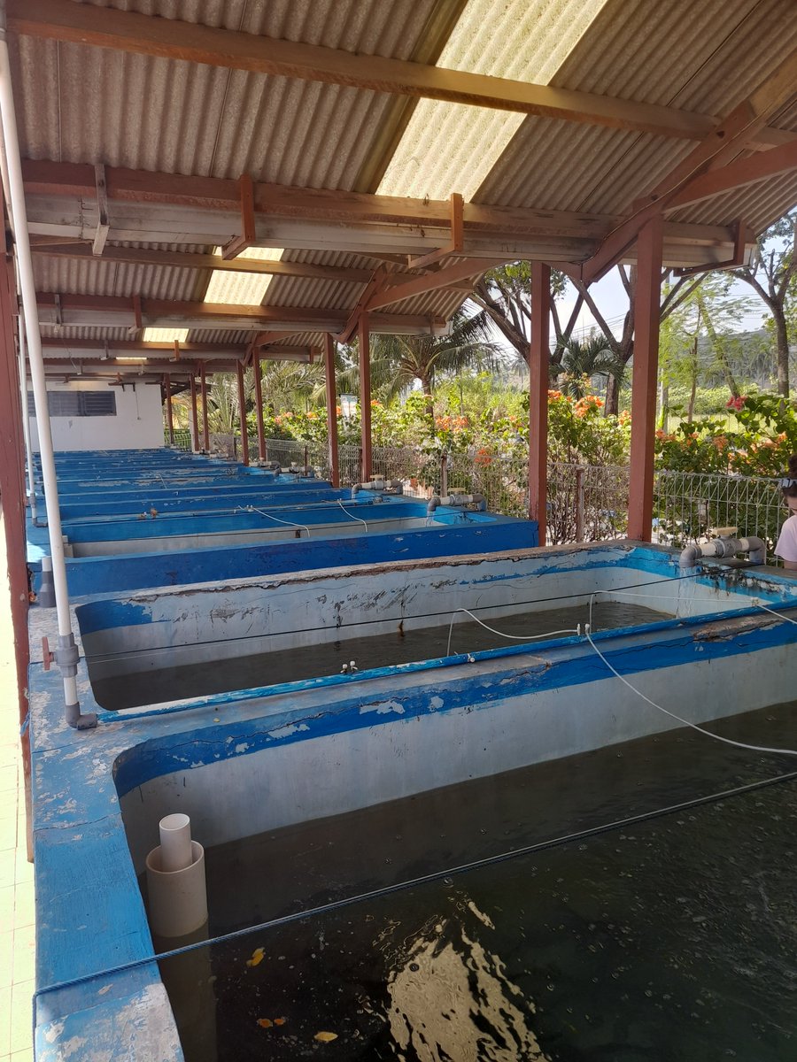 Aquaculture & Fisheries - WUR tweet media