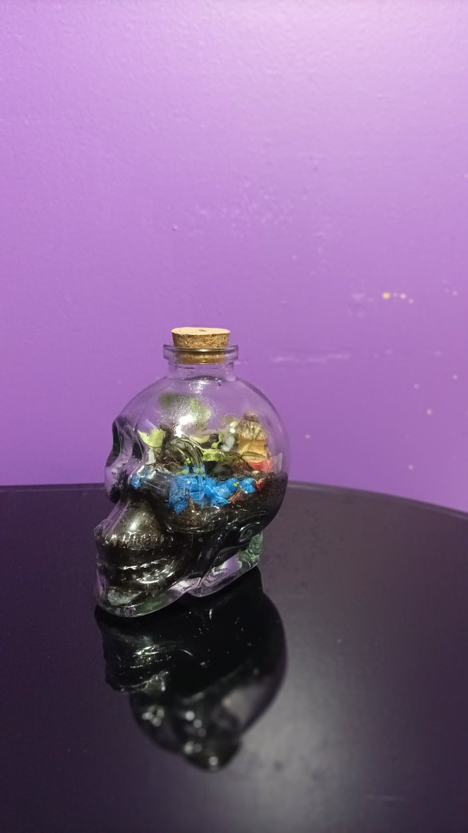 #TerrariosEternos!!! Ya llevan más de un mes con su ecosistema propio... Estas hermosas calaveras se van por $10.000 cada una... Hay otros valores y diseños, solo consulte!!!