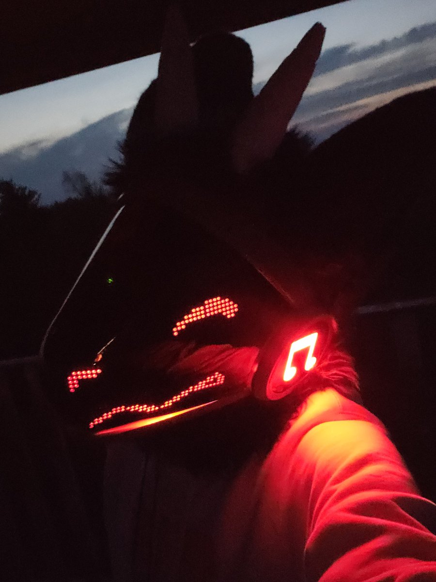 Virlud1's tweet photo. Boop https://t.co/HHPCGLG8xT