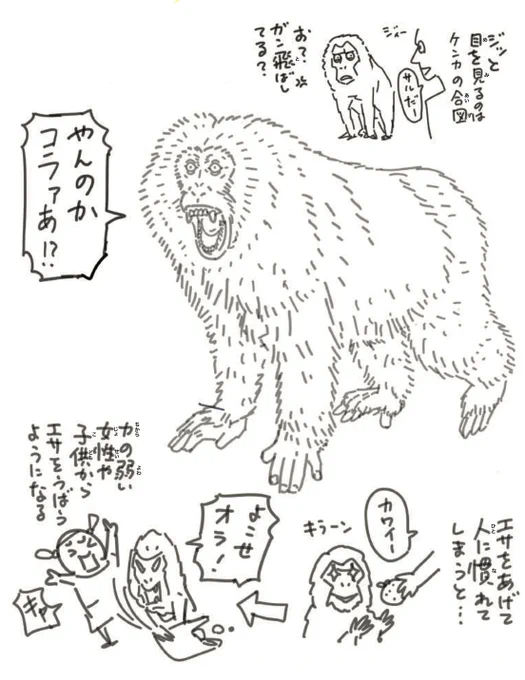制作裏チラ見せシリーズ。 このラフを描いた後に、どうにもしっくりこずメインのサルを丸々描き直したので、フォロワーさんしか見れないマジの意味での制作の裏のチラ見せラフ。