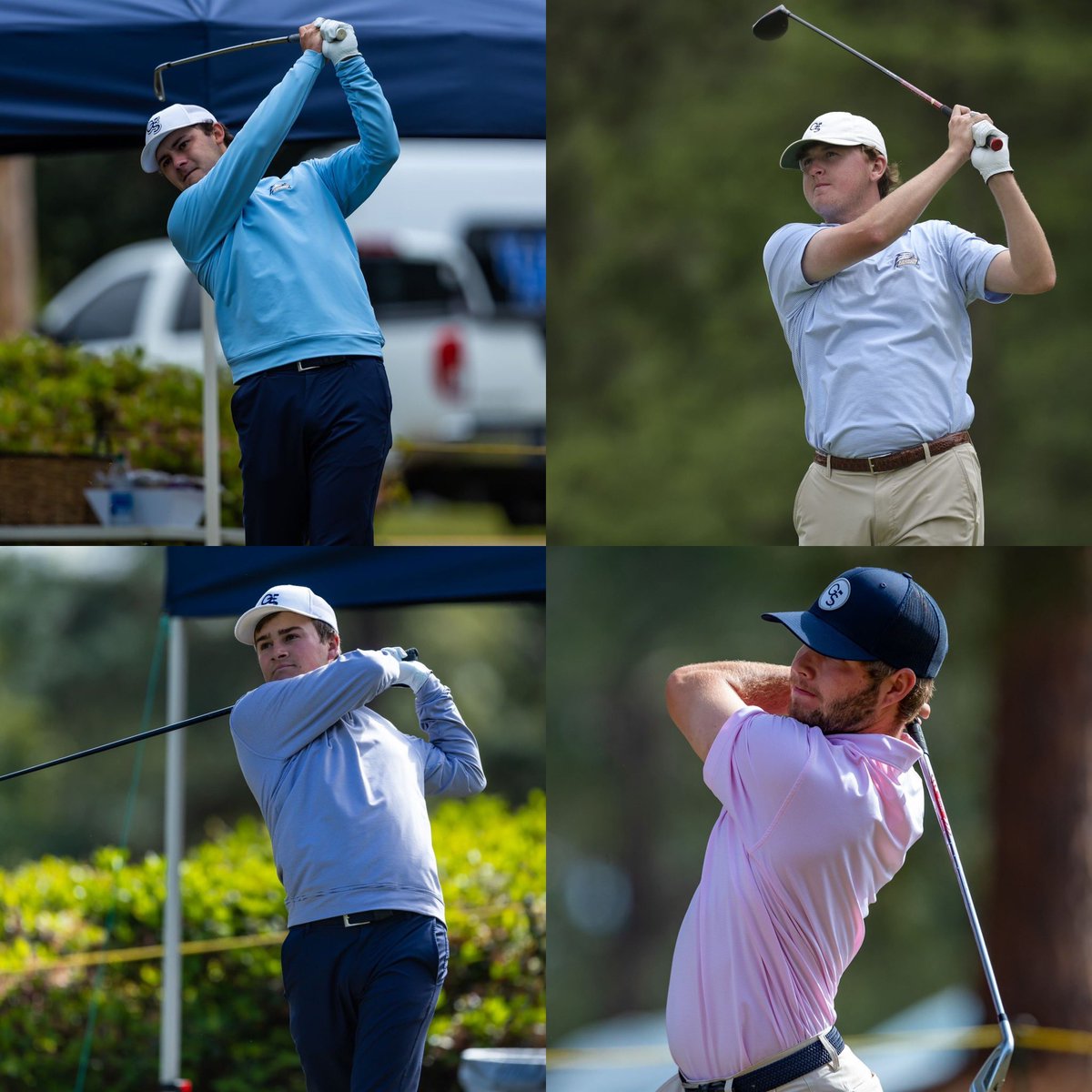 Carter Collins tweet media