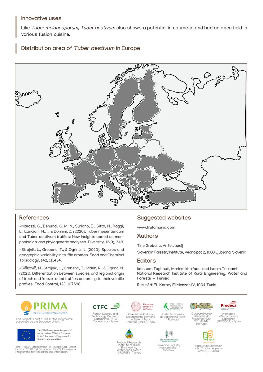 The #SummerTruffle, frequently named the Burgundy truffle (Tuber uncinatum), is the most sought out and marketed truffle species in the world 🍽️

Here you have all the information you need to know about this extraordinary fungi 👇🏼 #WildFoood