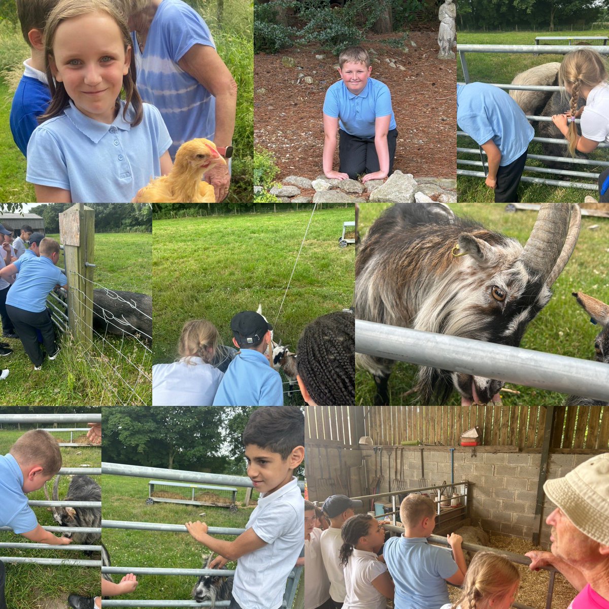 Wheeler_PS's tweet photo. Class 5B are having an amazing time at @DensholmeFarmEd #BellfieldScience https://t.co/2epbypTdyI