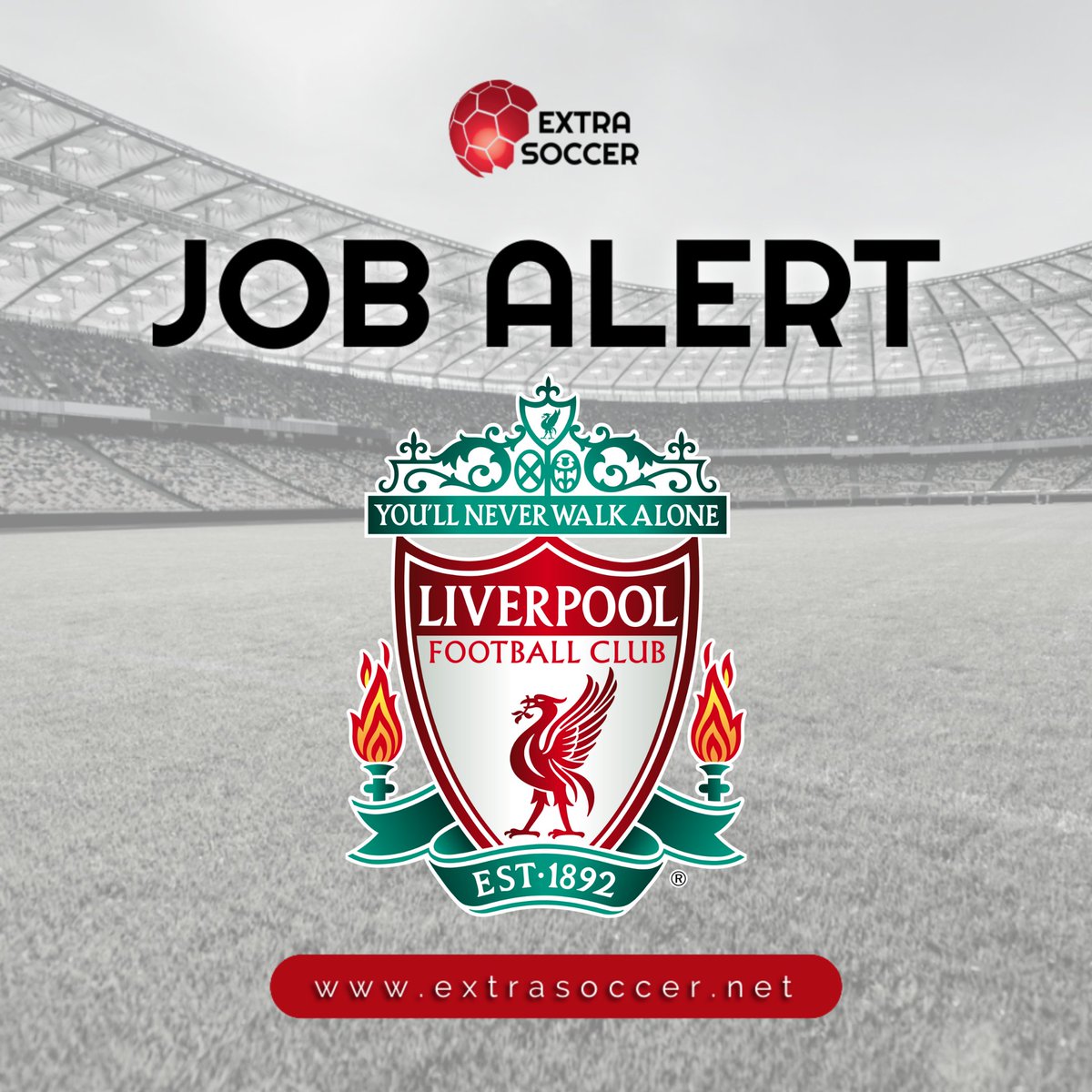 🚨⚽  𝙉𝙀𝙒 𝙅𝙊𝘽 𝘼𝙇𝙀𝙍𝙏! 📣 

Liverpool FC 🏴󠁧󠁢󠁥󠁮󠁧󠁿
Elite Local Scout - North West

Link 👉 extrasoccer.net/soccer-jobs

🌐 extrasoccer.net/membership

#football #soccer #recruiting #jobs #footballjobs #soccerjobs #vacancies #footballcoach #liverpool #lfc