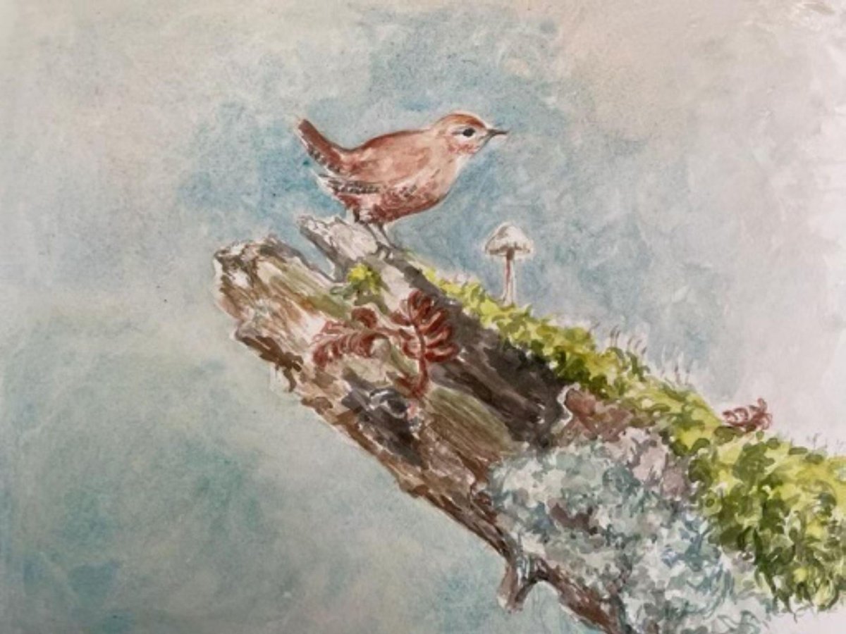 WWTCastleEspie's tweet photo. We are delighted to welcome Mourne Mackay-Lewis to the Graffan Gallery at Castle Espie. Mourne's #exhibition will be running from Sunday 2nd July - Sunday 6th August. 🎨
👇
https://t.co/8BHqAPK95S
#discoverni #belfastplus #visitAAND #LoveAND https://t.co/TgQ8FXOhoz