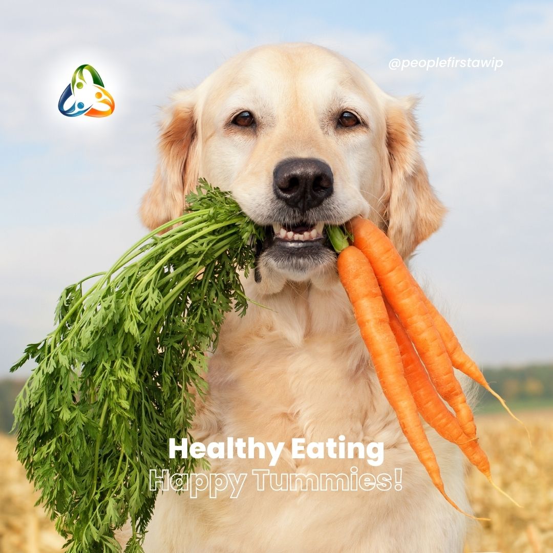 A balanced and nutritious diet is vital for your dog's overall health and well-being. Consult with your veterinarian to determine the best diet plan for your pup, including portion sizes and suitable food choices. #DogNutrition