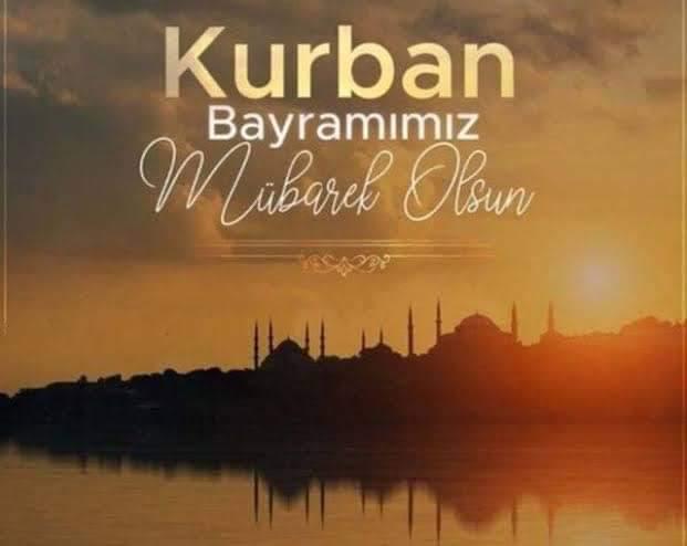 mkocoglu53's tweet image. 