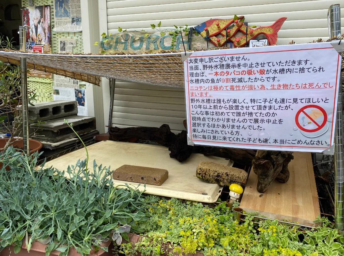 なぜか次々に死んでいってしまう魚。原因は、心無い人のたばこのポイ捨てだった。