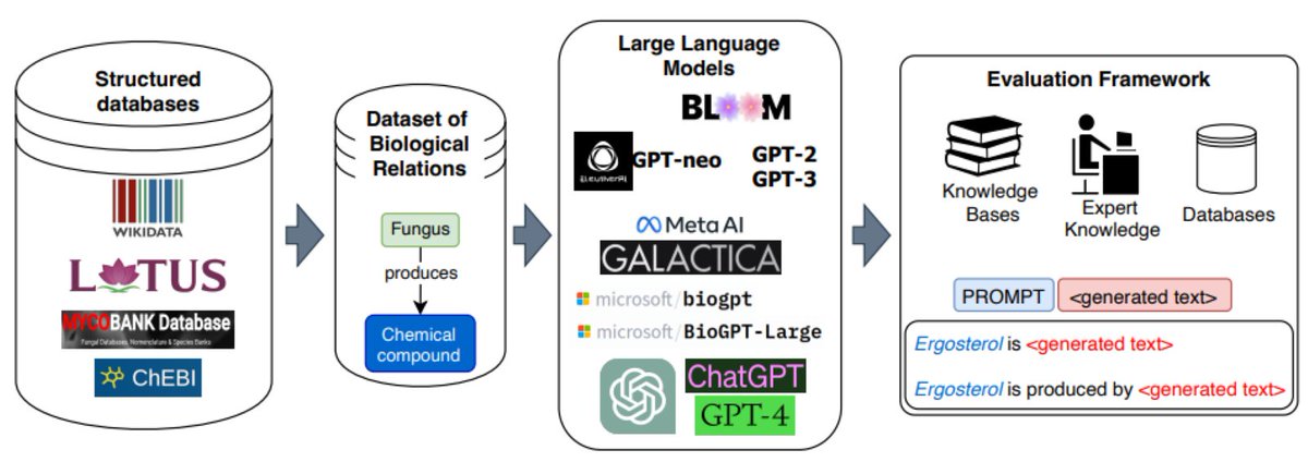 In a recent publication led by Magdalena Wysocka from #dECMT AI group, Generative Language Models were evaluated - read more on LinkedIn including the link to publication from which diag. below originates bit.ly/3r3aJ34 <a href="/andrenfreitas/">André Freitas</a> <a href="/oskwys/">Oskar Wysocki</a>