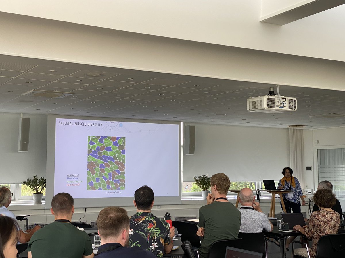 We are still going strong on day 4 of the international Skeletal Muscle Metabolism & Growth PhD course! @martamurgia, the queen of single fibre proteomics, is giving us some exciting methodological insights. 👸🏽 #MuscleCPH2023 @NEXSKU