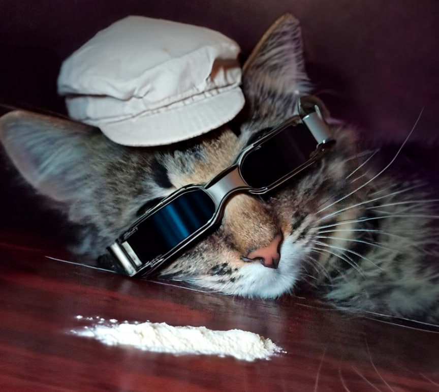OKITAHAR's tweet photo. 👋GM!

🧐Flour powder nothing more) https://t.co/7XODevDyfJ