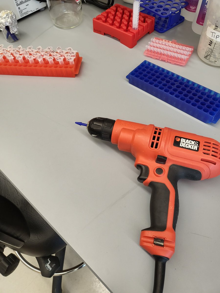 Kaylee Watson tweet media