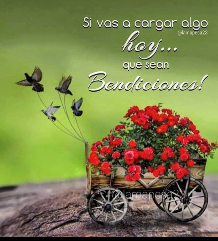 Bendiciones!!!🌹