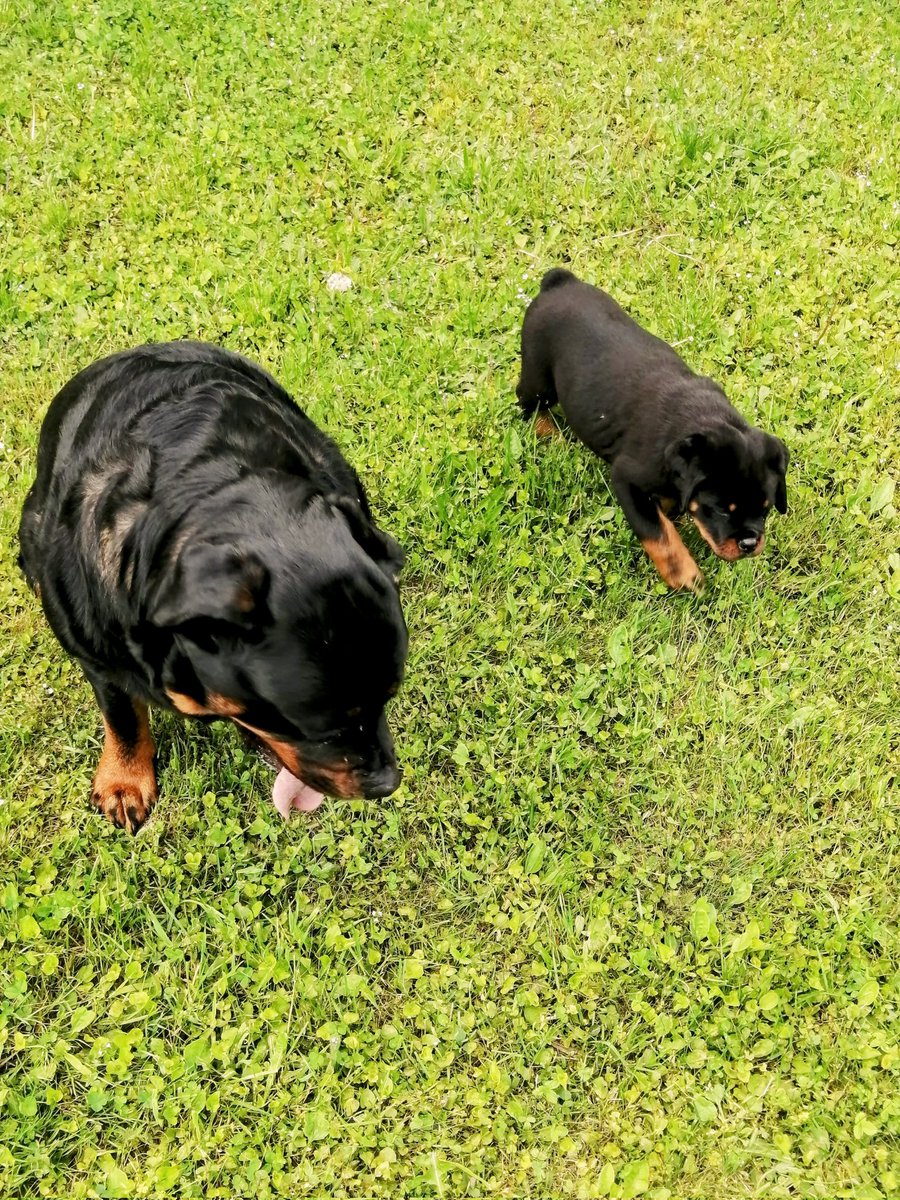 James Lewis tweet media