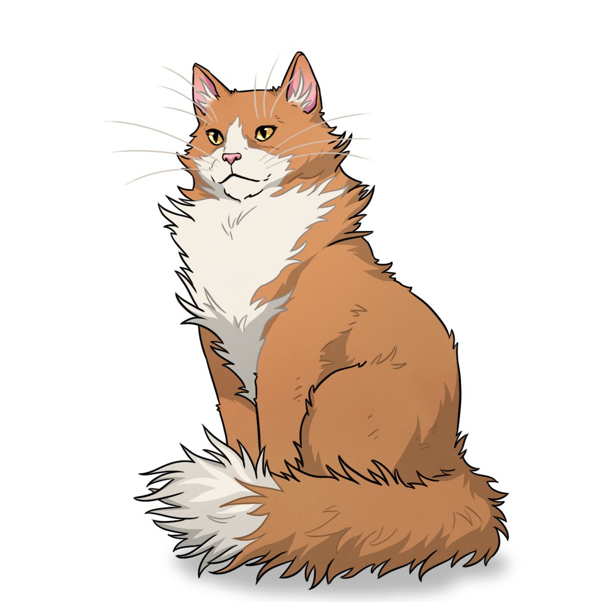 Meet the team: 

Hedgehog, voice actor for Apricot in #stilljoking