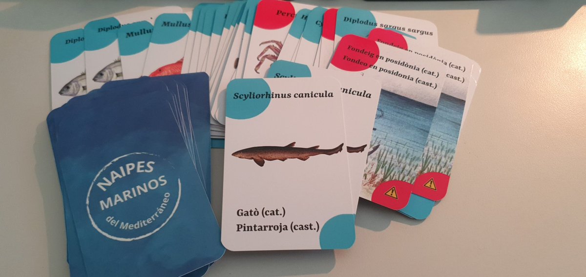 <a href="/andresospina/">Andrés Ospina @andresospina.bsky.social</a> <a href="/DivulMar/">DivulMar</a> <a href="/IMEDEA_UIB_CSIC/">IMEDEA (UIB-CSIC)</a> <a href="/CSICdivulga/">CSIC Divulga</a> <a href="/CSICBalears/">CSIC en Illes Balears</a> <a href="/UIBuniversitat/">Universitat de les Illes Balears - UIB</a> <a href="/saveposidonia/">Save Posidonia</a> <a href="/PosidoniaGreen/">Posidonia Green Project</a> ¿Jugamos? ♥️🐡♣️🌱♦️🦀♠️🥤