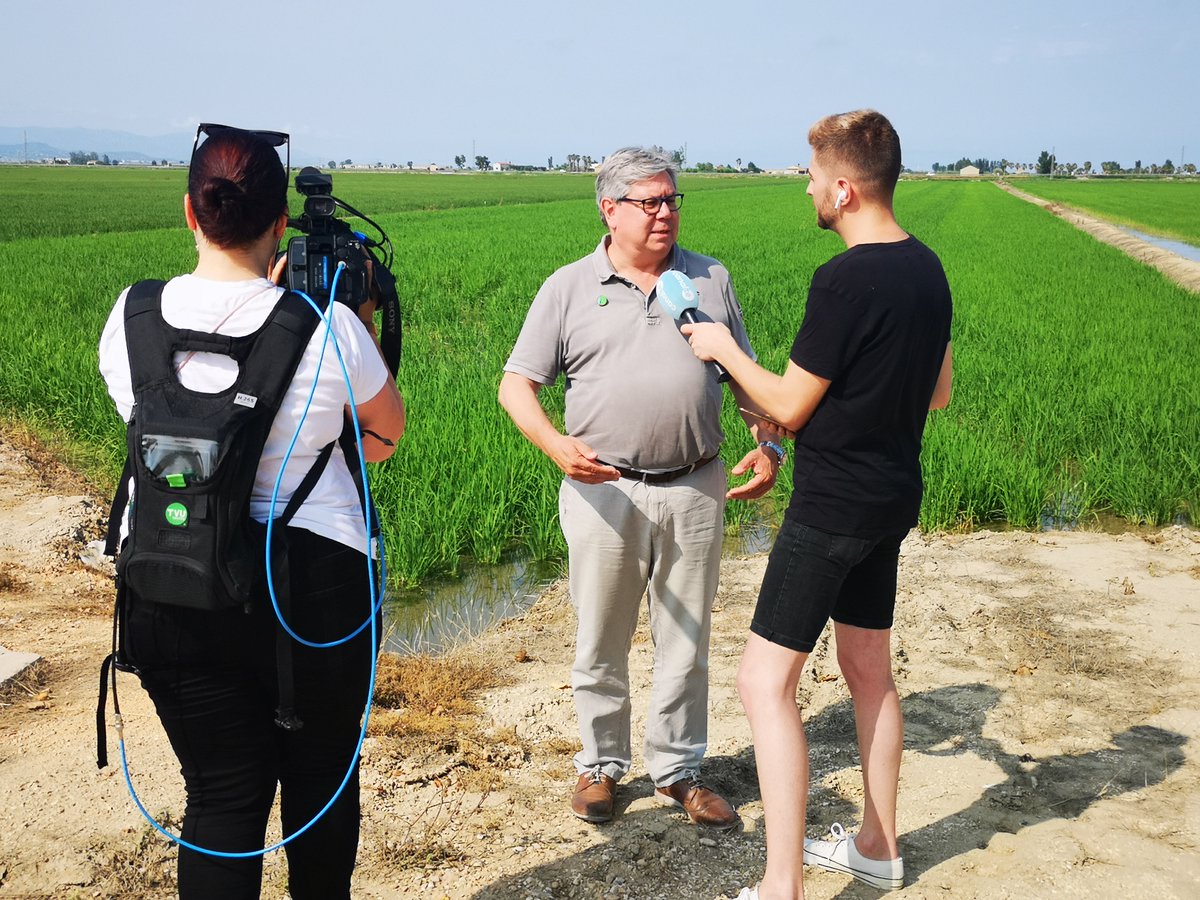 Copate_TE's tweet photo. SALUBRITAT | Continuem amb les accions per controlar la població de 🦟 mosquit al delta de l'Ebre. 

✅Enguany també podem fer el tractament en les zones d'arrossars ecològics

✅En espais naturals portem tractada una superfície de 2.400 hectàrees https://t.co/pmJb3nPoI9