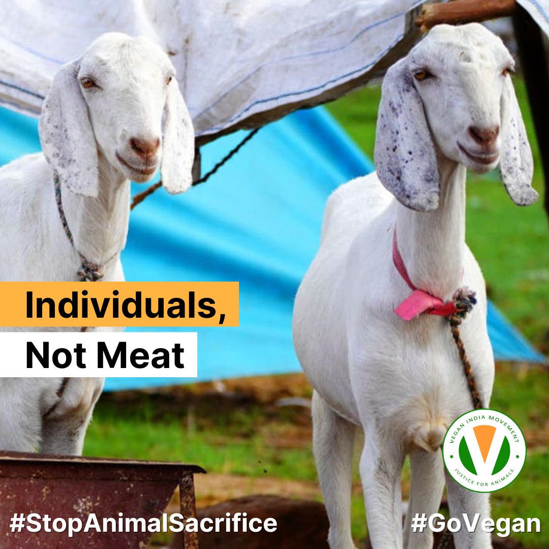 yogesh_sivan's tweet photo. If you really care about animals, then stop trying to figure out how to exploit them 'compassionately'. Just stop exploiting them!
#StopAnimalSacrifice
#GoVegan https://t.co/MinZ1Imqnn
