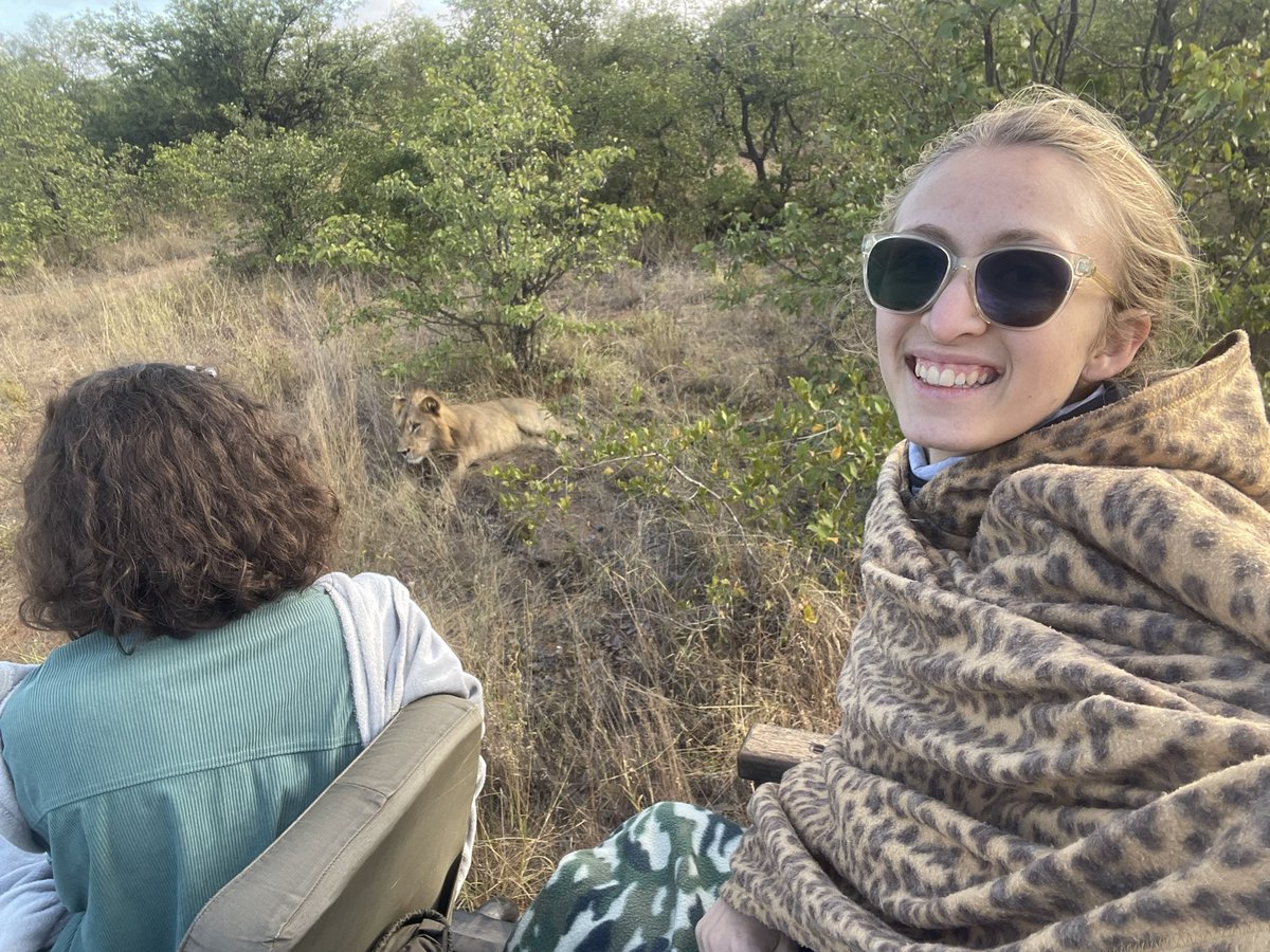 RodwingV's tweet image. Shoutout to the time I let the intrusive thoughts win and made a face at a wild lion like he’s a house cat. (He growled at me)