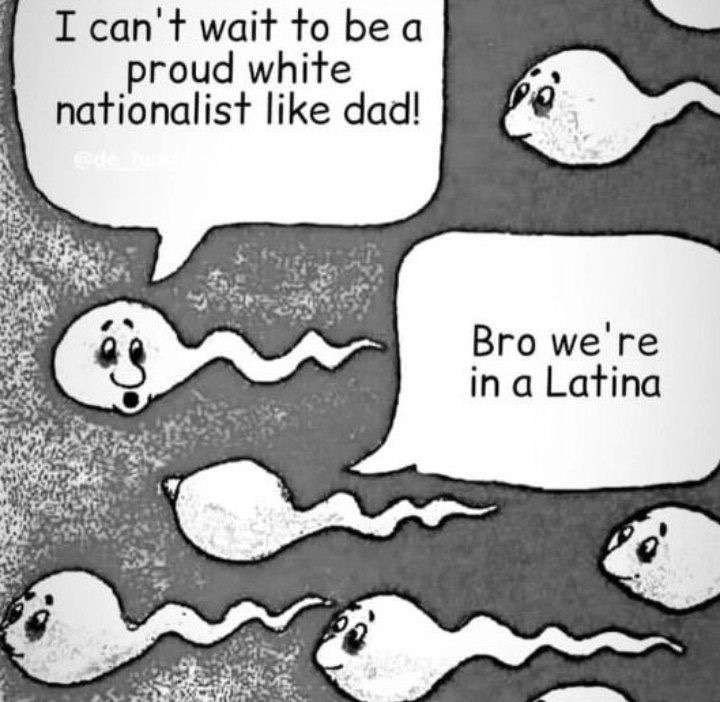 ShitpostGateway tweet media