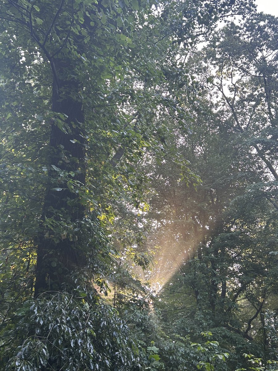 afeelya's tweet image. a gift for u