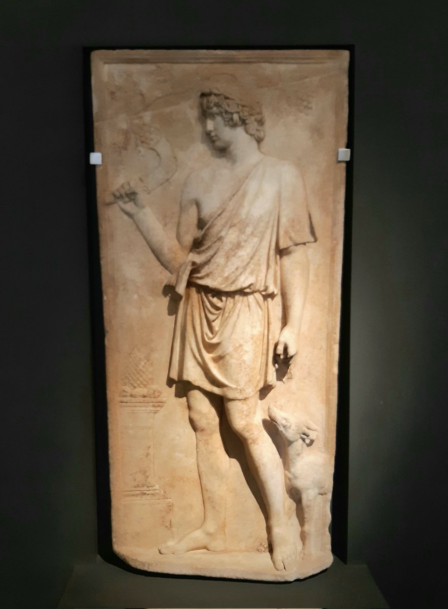 #ReliefWednesday 
Antinous as Dionysos or Silvanus. 130–138 AD.
Museo Nazionale Romano di Palazzo Massimo alle Terme, Rome 
 ( 📸 my own from last year, hopefully watchable.)