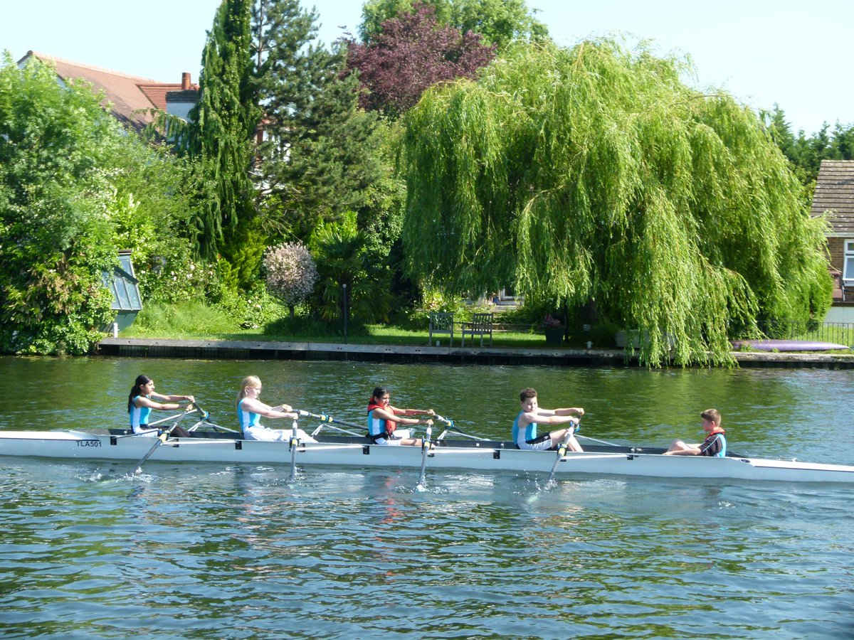 TLA Rowing tweet media