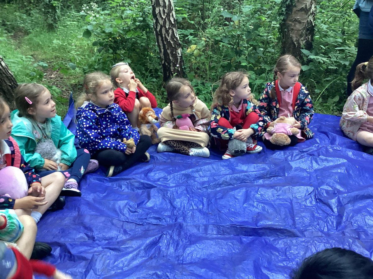 Primary 2H tweet media