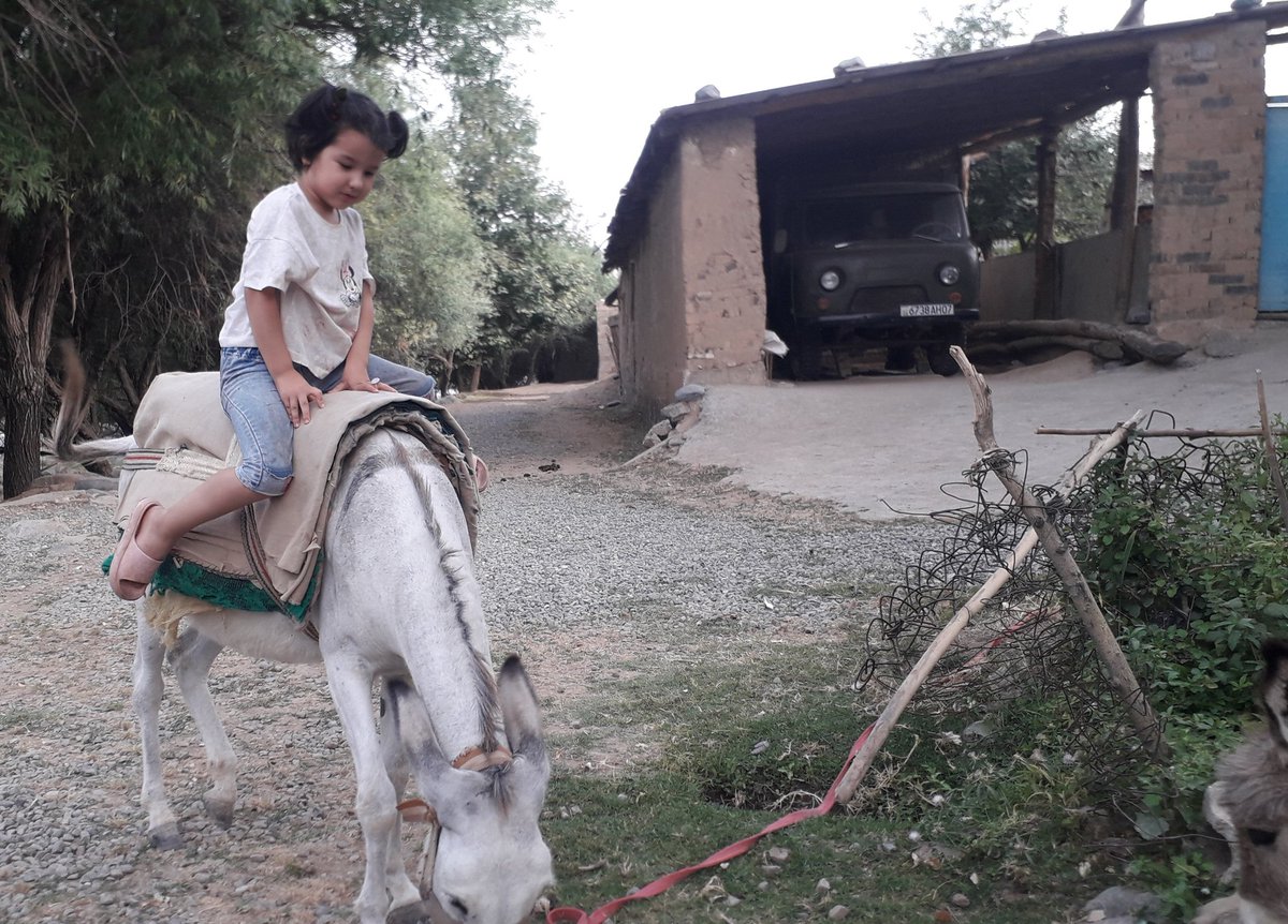 You can see interesting events in the mountains⛰ of #Tajikistan. In the village of Shirkent, Tajikistan, I saw a 5-year-old girl👧 riding a donkey🐴 I am afraid of donkey riding. The fearlessness this child amazed me