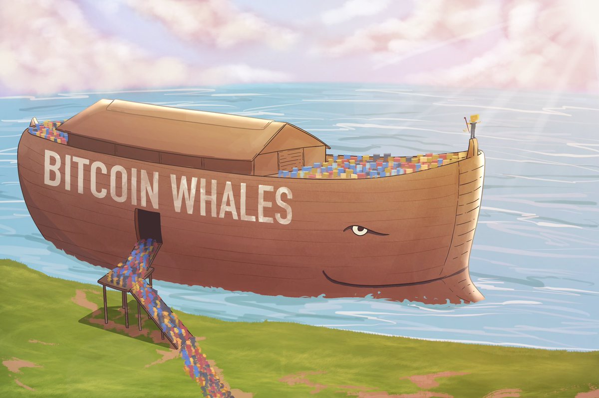 Tosyo 📺 tweet media