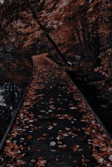fall mood board