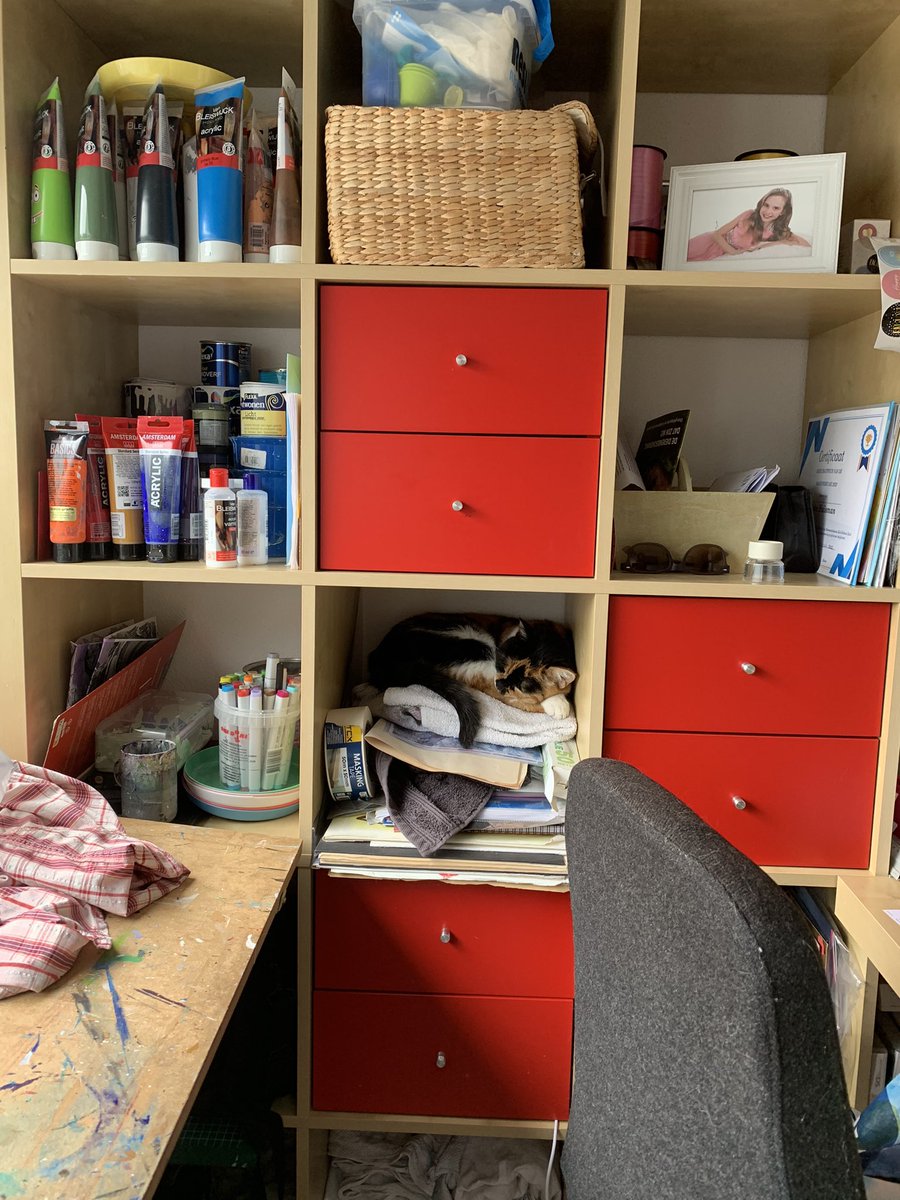 Helendzwart's tweet photo. Waar een #kallax kast van @IKEANederland al niet nuttig voor kan zijn. 😍 #kattenmand https://t.co/3VmTSlZSUM