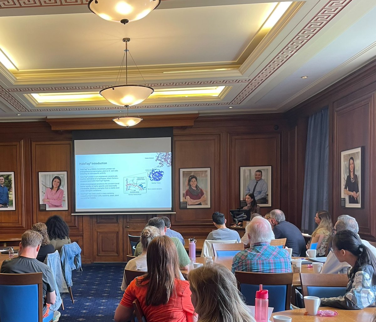 promegauk's tweet photo. Our own Dr Hilary Pollard was presenting on Promega's HaloTag Janelia Fluors at the COMPARE Fluorescence sandpit today, hosted at @UniofNottingham 

Want to find out more about our HaloTag? Simply drop us a comment below or DM for details

#LabChat #PhDChat #HaloTag https://t.co/O56y6Nqy4R