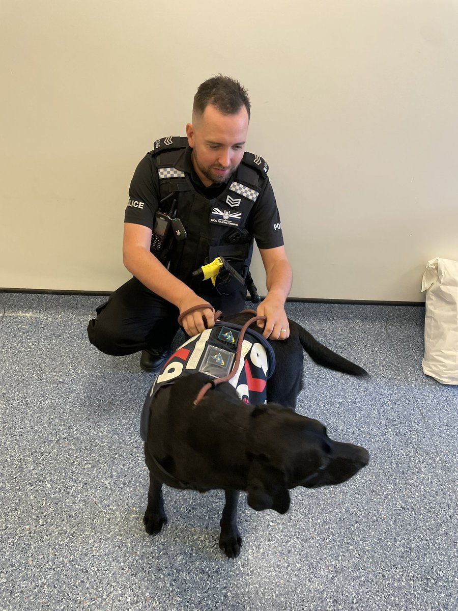 Durham Constabulary OK9 Wellbeing and Trauma Dogs tweet media