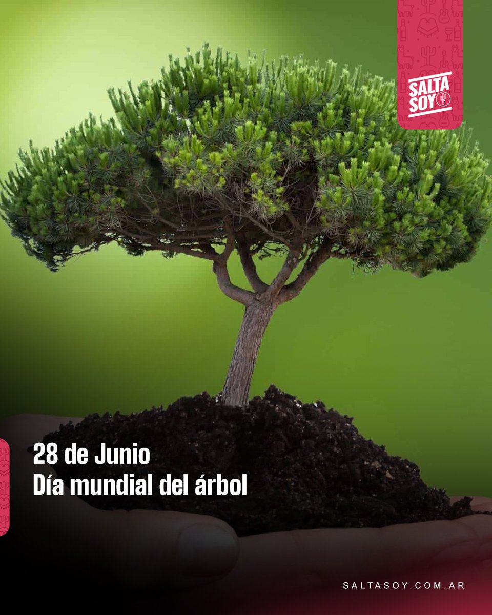 SaltaSoyOk's tweet photo. Estos gigantes compañeros han estado a nuestro lado desde el principio de los tiempos, aportándonos sombra, casa, alimento, oxígeno y comida. 🌲🌳 https://t.co/rSEocR9nmp