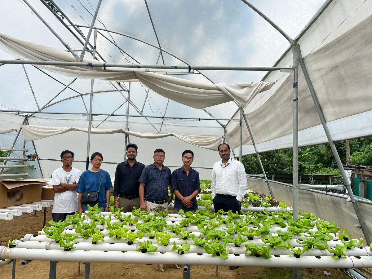 DC_Wokha's tweet photo. Thunglamo Humtsoe is an agri entrepreneur pioneering the Hydroponic Farming in Wokha to produce year round high value vegetables. 

With support received under MIDH and #CMMFI scheme of #Nagaland, he is set to expand his business multifold. https://t.co/aNP8yxbhtn