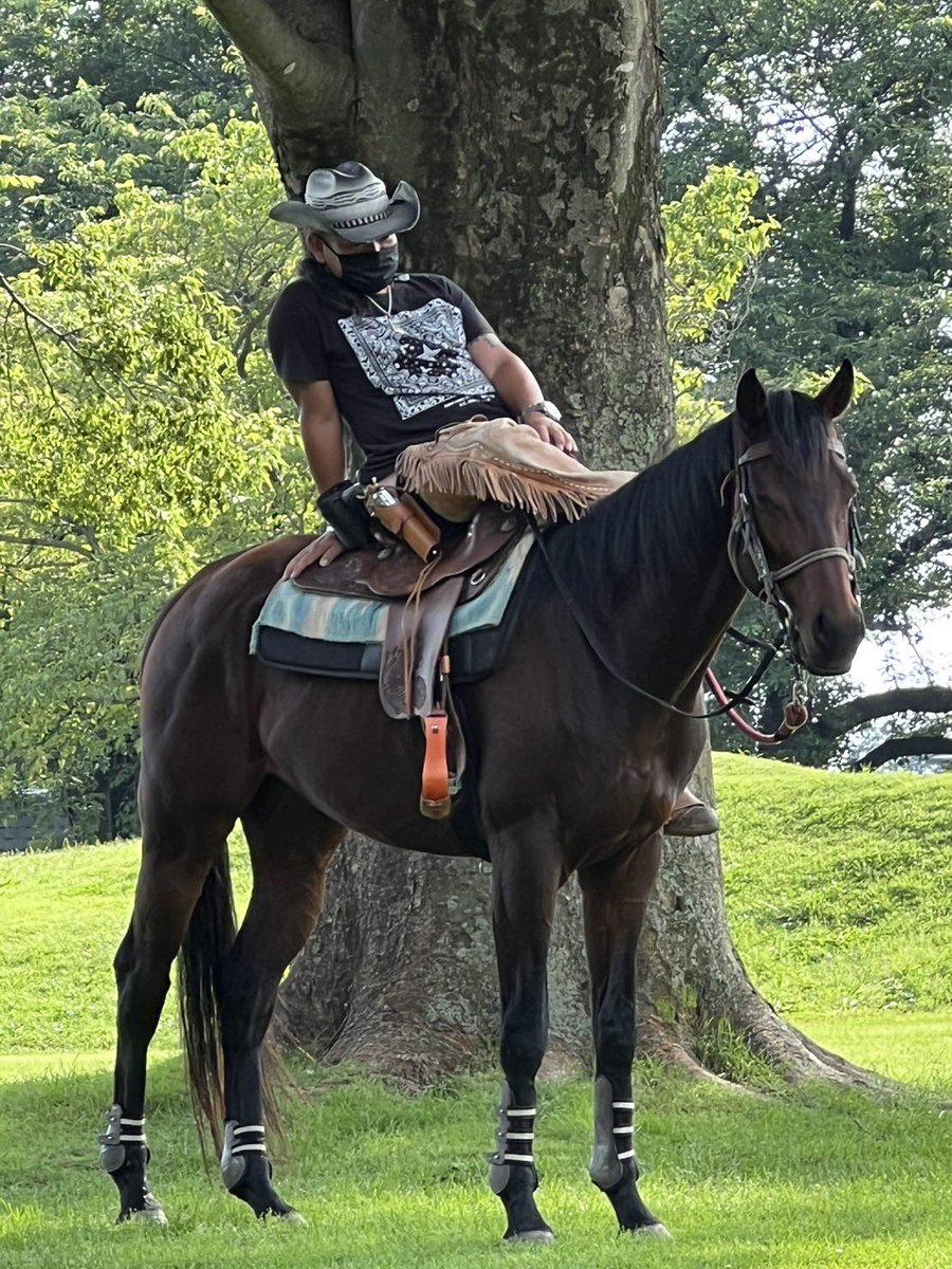 私の家族に対して馬刺しがいっぱい取れるね〜とか馬刺し馬刺しって冗談でもやめてください。毎日お世話して可愛がってる子です。私が飼育している鳥達にしてもそう。たまにそーやって食べ物に結びつける人居ますが私にはそんな冗談は通じません。悲しくなります。
#馬 #猛禽類 #あかぎ森の王国