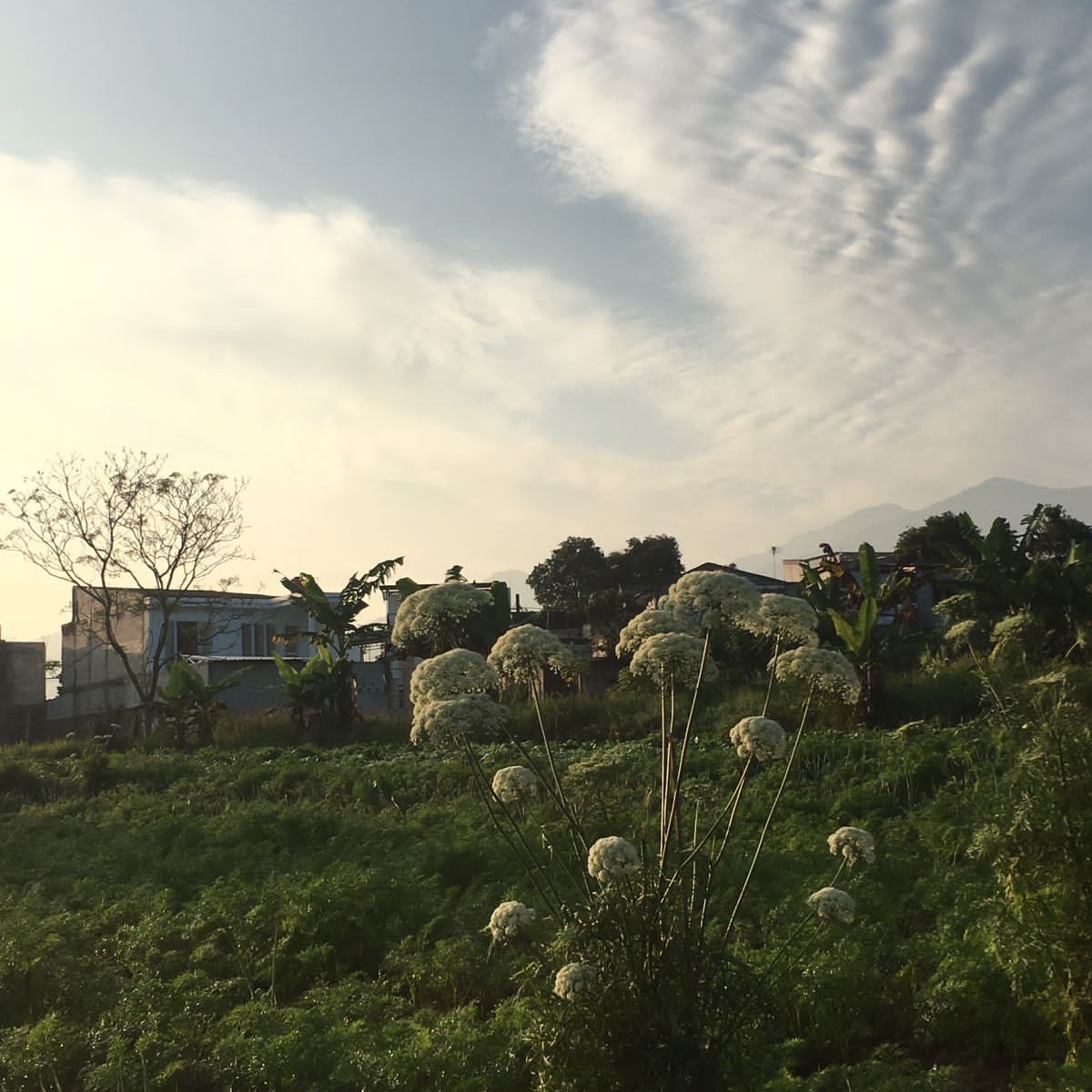 eobhie vs everybody tweet media