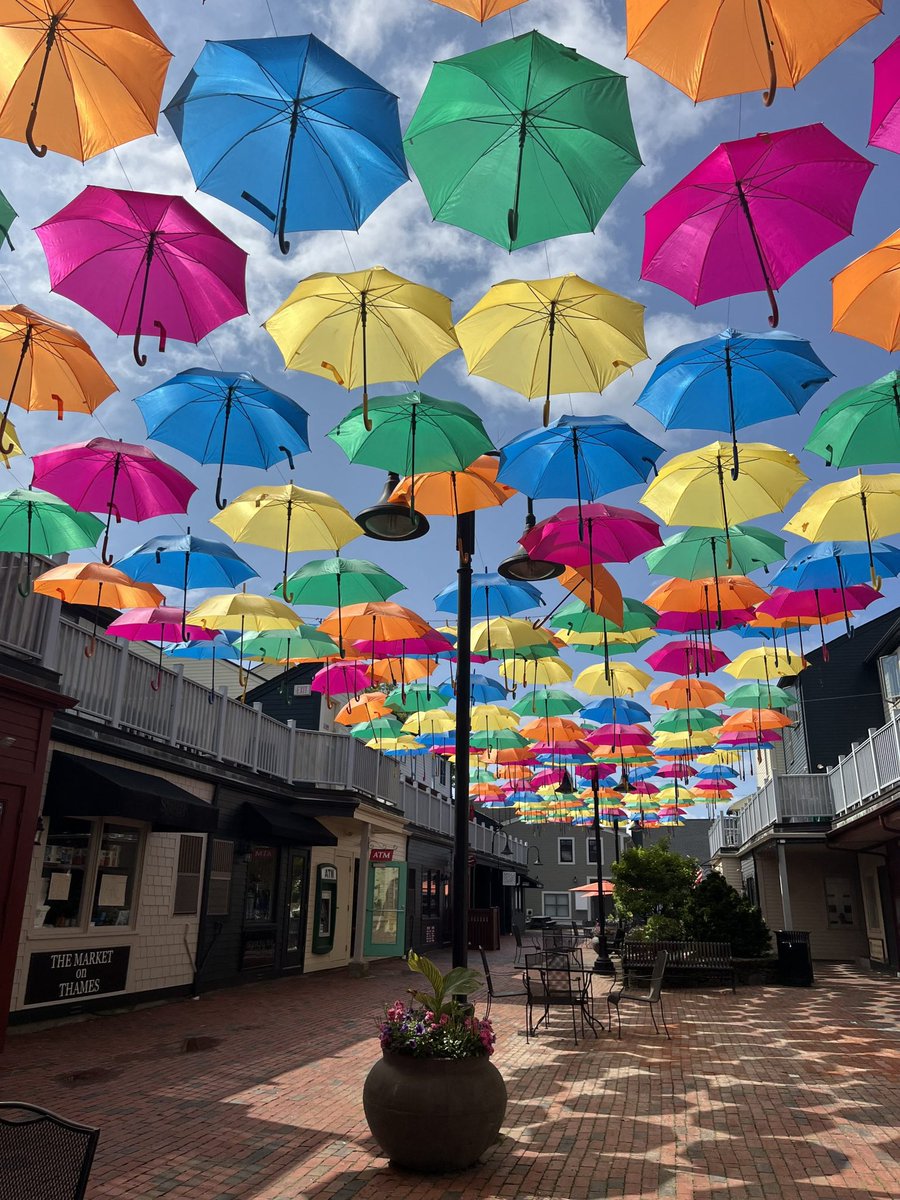 My next show will be July 2 under Umbrella Sky , a worldwide traveling exhibition which is now visiting our own Newport, RI!
I'll be playing under the umbrellas from 1-3 pm:)

See you there! 

(Photo credit Sarah McClutchy)
#umbrellasky #newport #RI