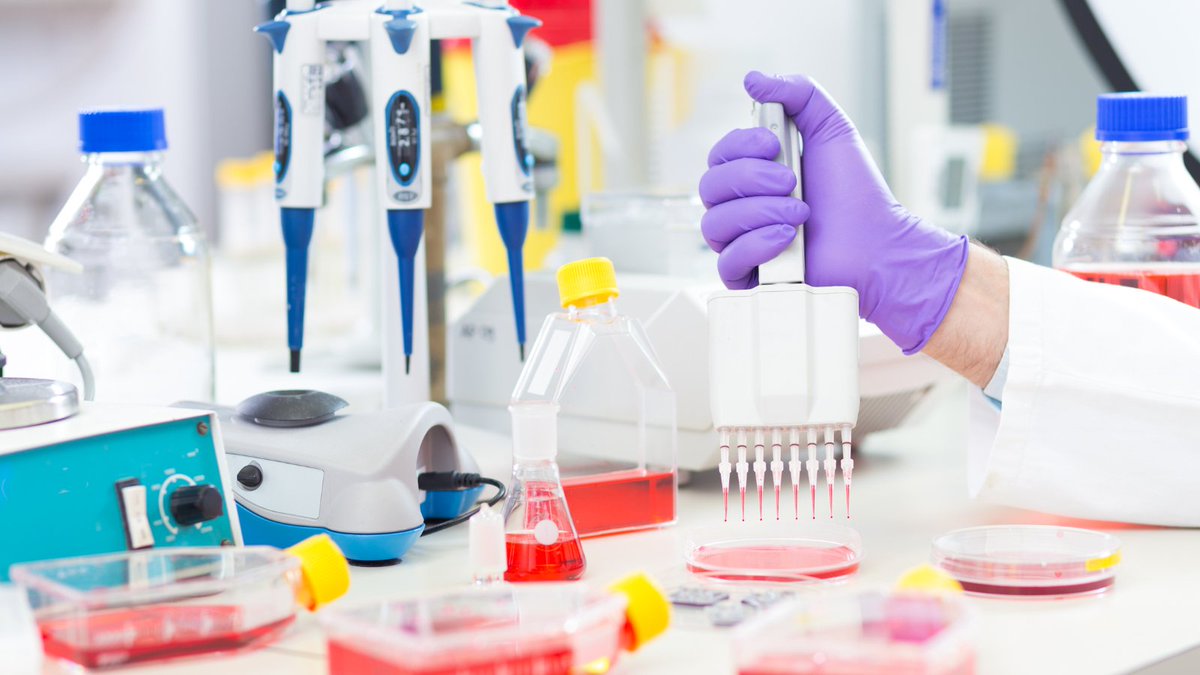 cenmedonline's tweet image. Your lab's success depends on having the right supplies. Stay prepared and fully stocked with our wide selection of products. Don't let your research be hindered by a lack of supplies. Order now and ensure uninterrupted lab operations! #laboperations #medicalsupplies
