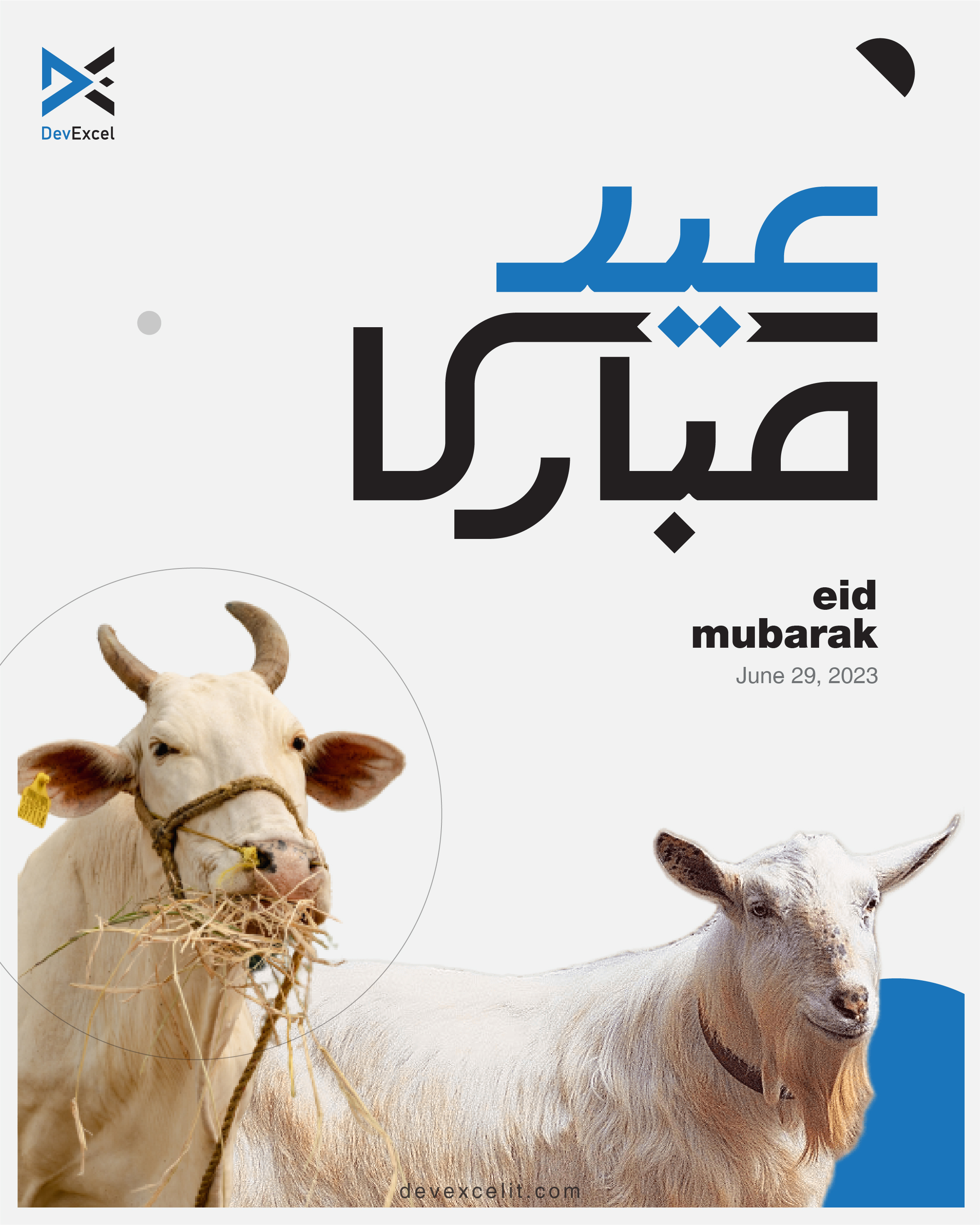 How To Celebrate Bakra Eid With Children - prddfme