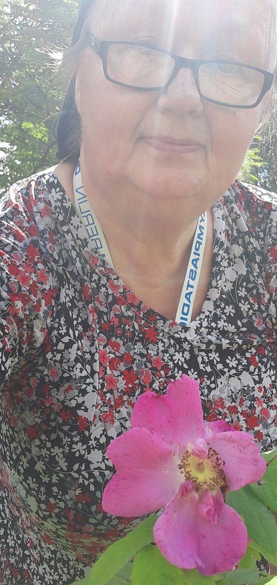 Rusila3Tuli's tweet photo. Hyvää Kesää.. https://t.co/qPCK8Fg8m4