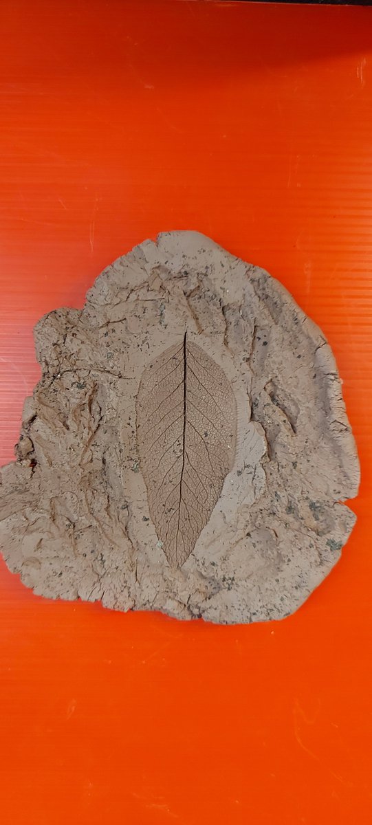 Wildside Activity Centre tweet media