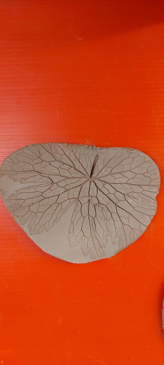 Wildside Activity Centre tweet media