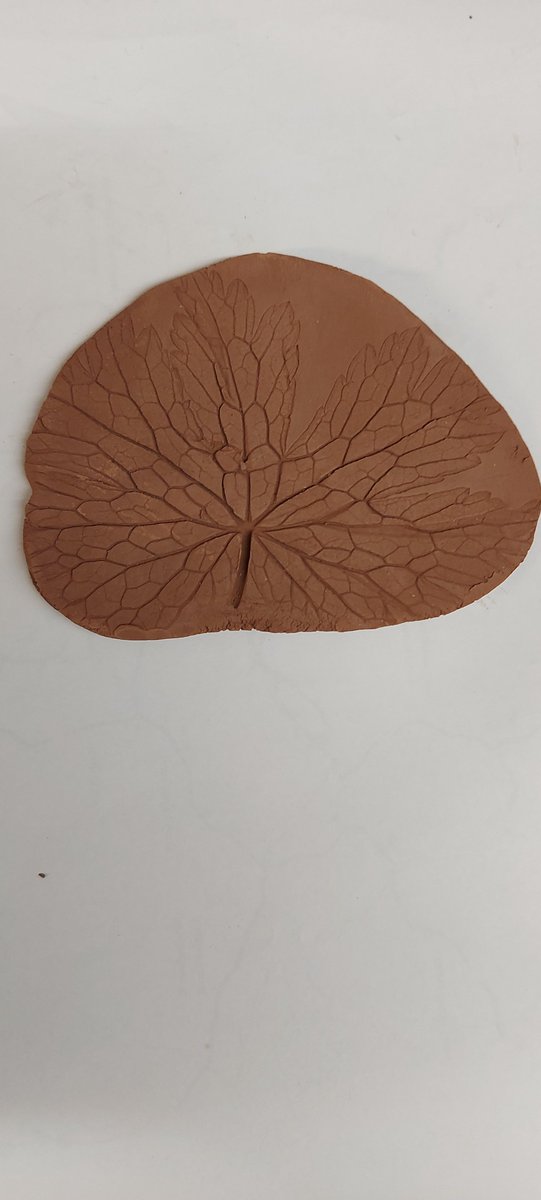 Wildside Activity Centre tweet media