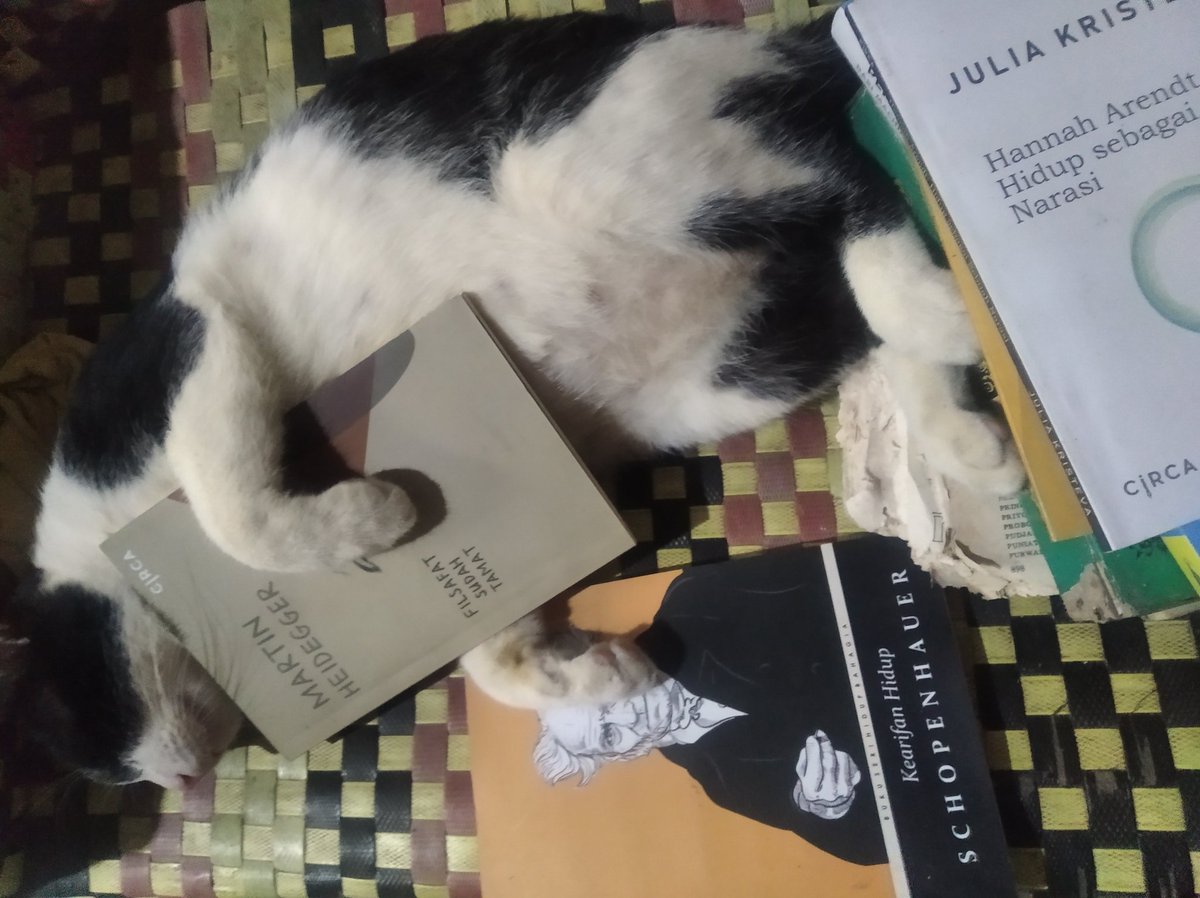 Mabok...🐱

#ticketek  #Ukraine #iduladha1444h  #catlover  #kucing #books #lukiswajah