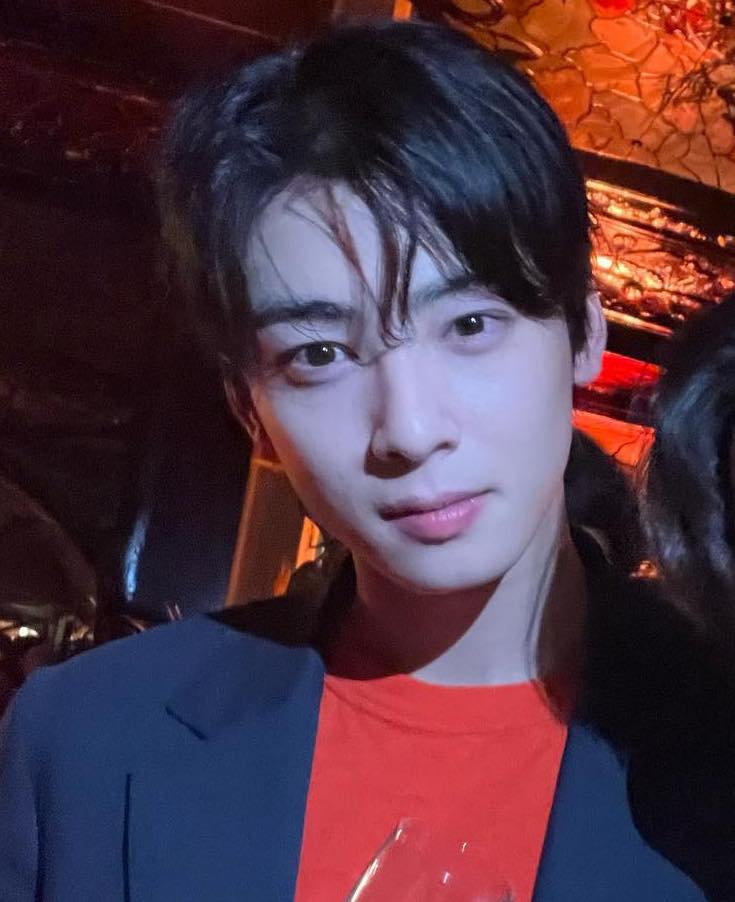 I saw a lot of bullshit and speculation about Eunwoo at Dior's after party. Please let him live his life, doing what he wants to do, let him breathe. He's not a kid, and above all he's not your boyfriend so please stop that unhealthy relationship. Love him for his hard work ❤️